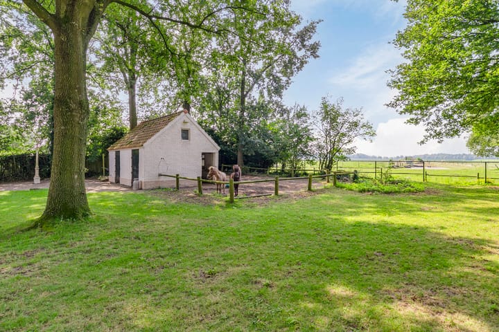 Photo 48 of Landrop 21