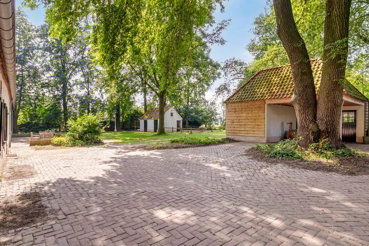 Photo 56 of Landrop 21