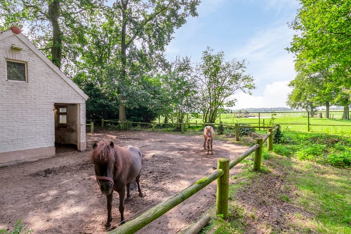 Photo 57 of Landrop 21