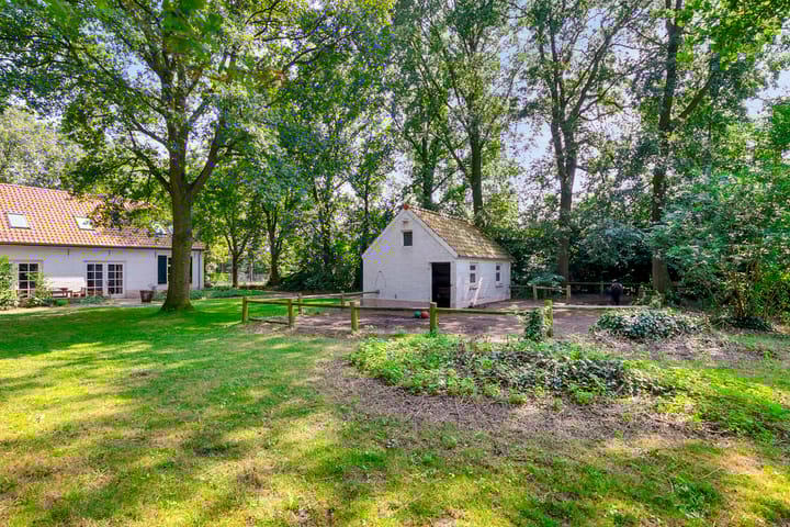 Photo 61 of Landrop 21