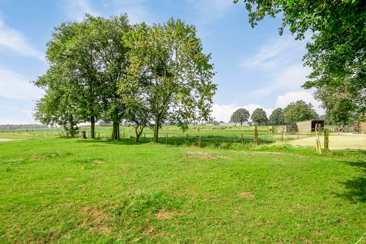 Photo 62 of Landrop 21