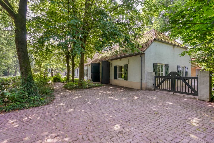 Photo 64 of Landrop 21