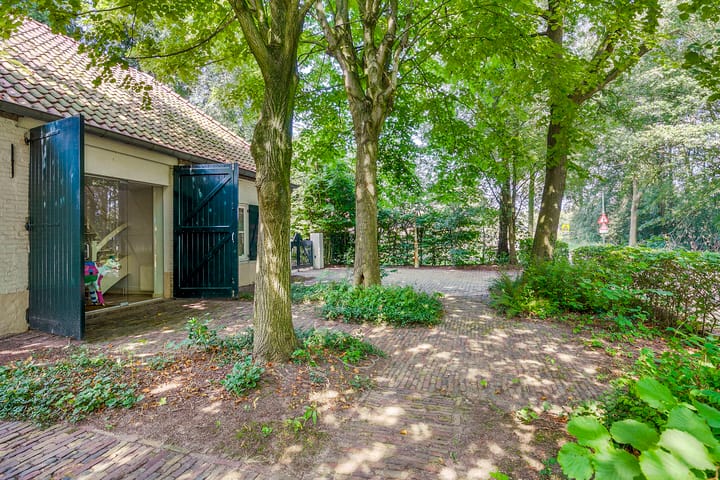 Photo 65 of Landrop 21