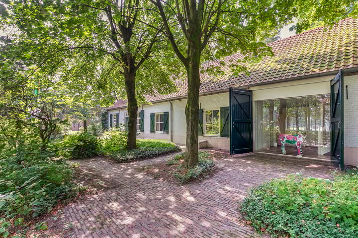 Photo 66 of Landrop 21