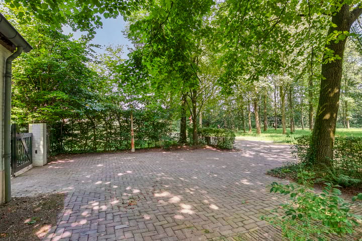 Photo 67 of Landrop 21