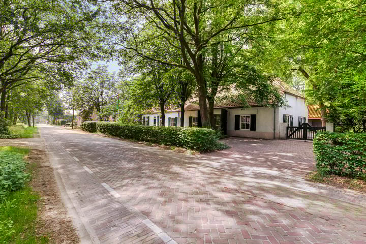 Photo 68 of Landrop 21