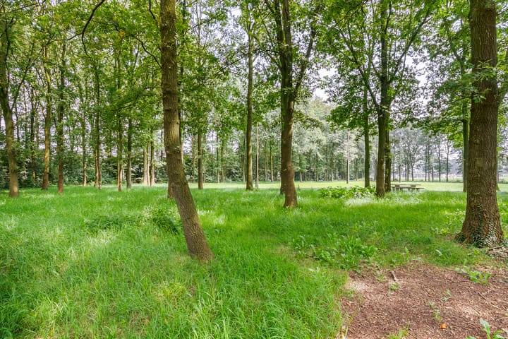 Photo 70 of Landrop 21