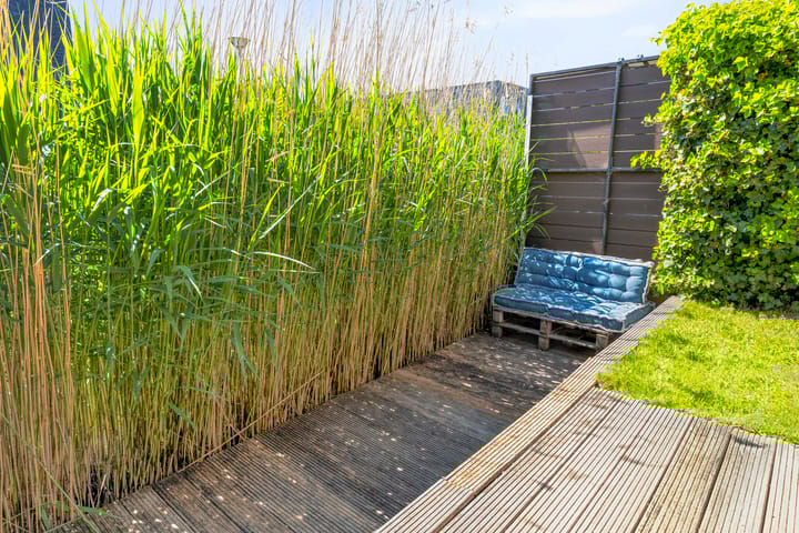 Foto 33 van Vliehors 84