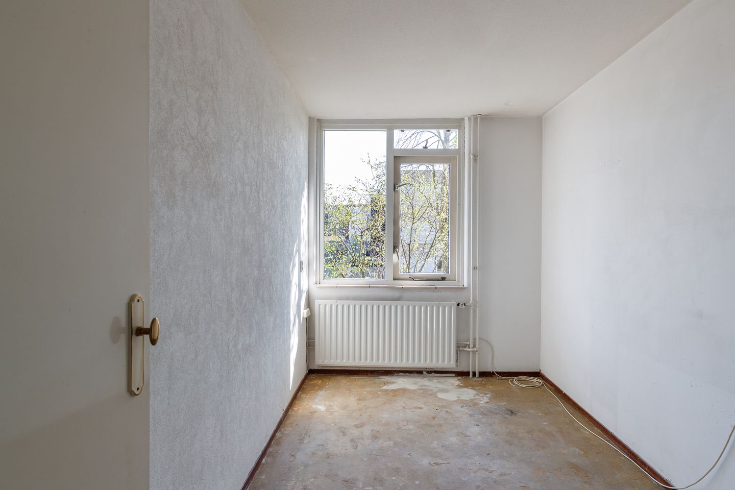 Photo 19 of Zeeuwse Steen 3