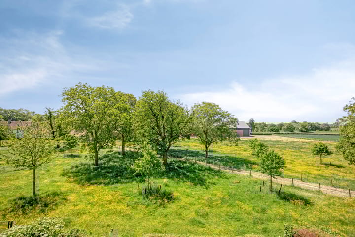 Foto 43 van Iepenlaan 18