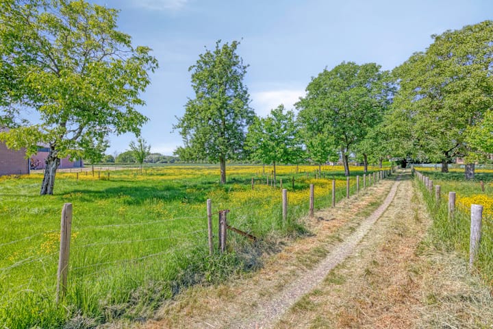 Foto 45 van Iepenlaan 18