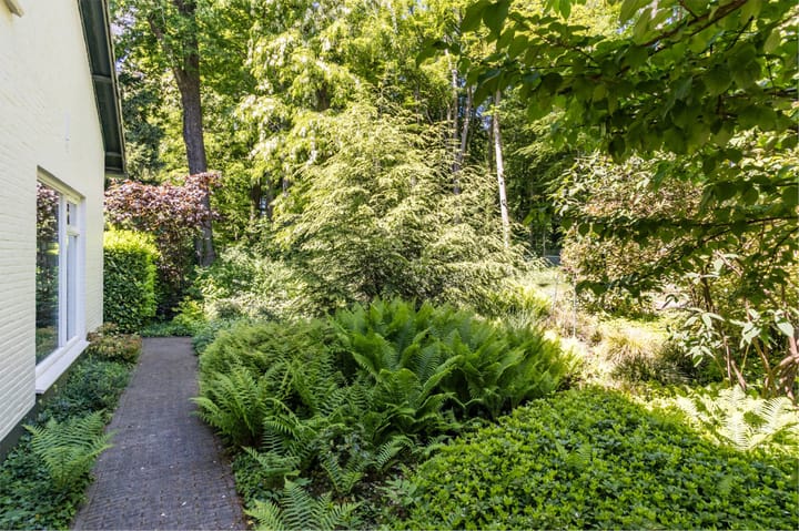 Foto 58 van Joppelaan 98