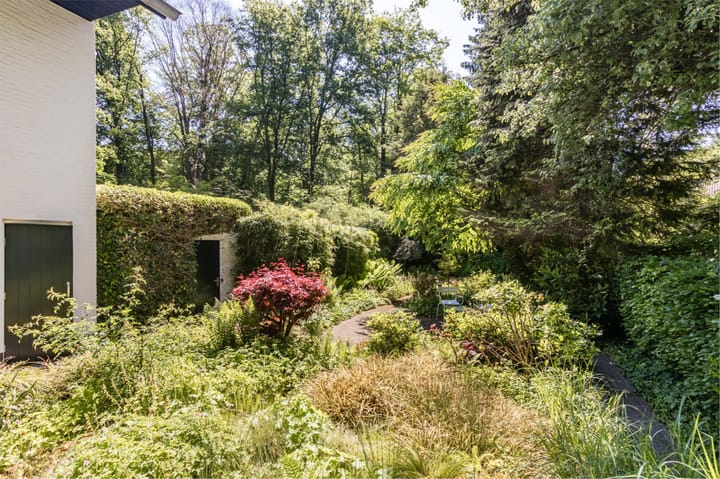 Foto 62 van Joppelaan 98