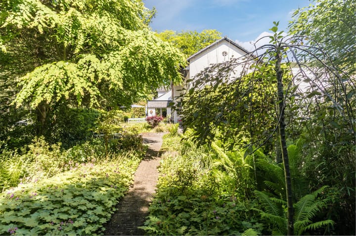 Foto 69 van Joppelaan 98