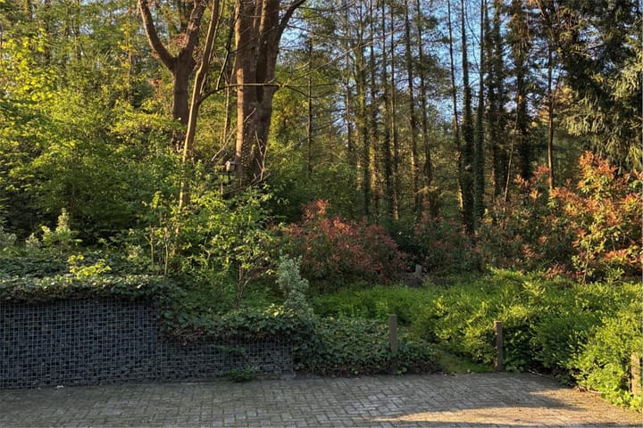 Foto 71 van Joppelaan 98