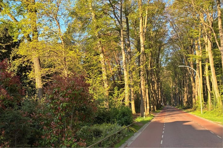 Foto 74 van Joppelaan 98