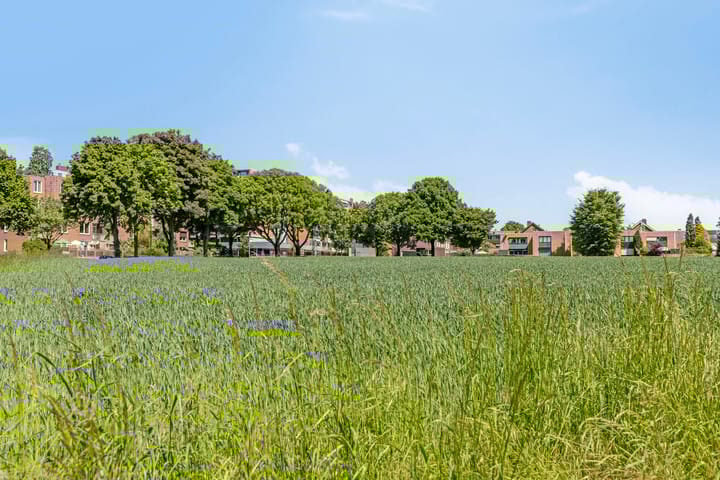 Foto 44 van Lammergierstraat 16