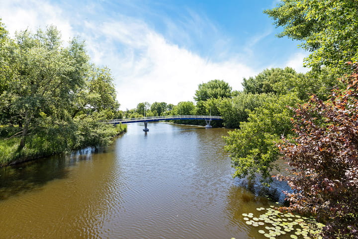 Foto 8 van Eilandweg 25