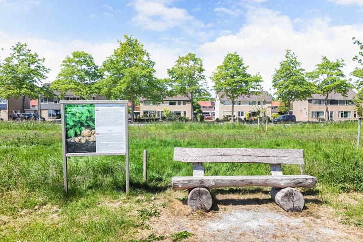 Foto 6 van Vaartweg 14