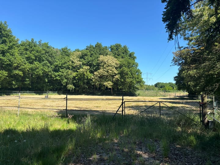 Foto 2 van Berghemseweg