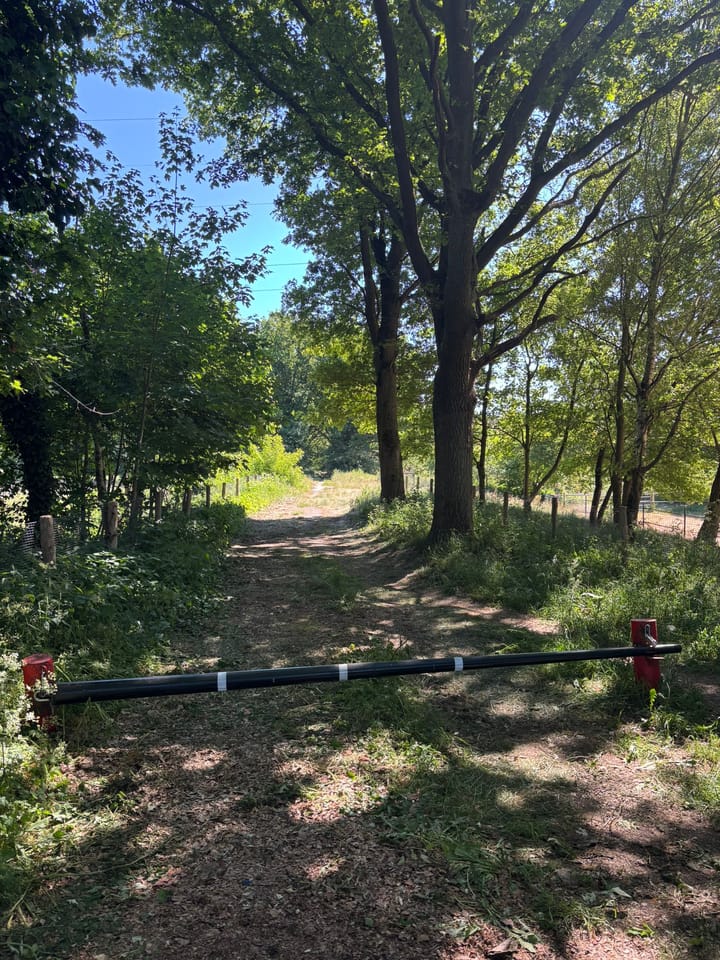 Foto 5 van Berghemseweg