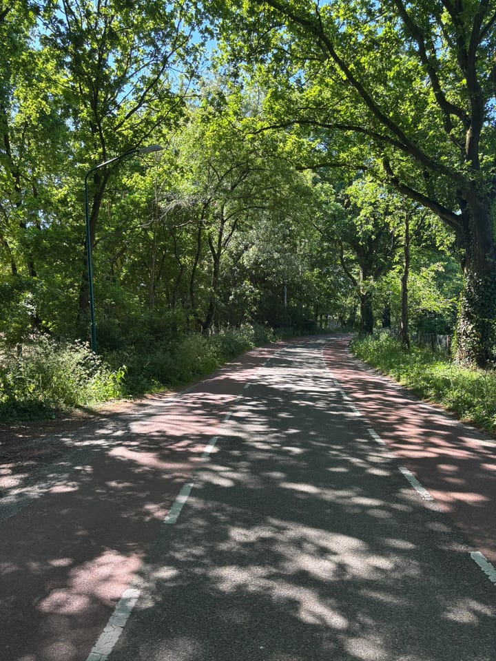 Foto 4 van Berghemseweg