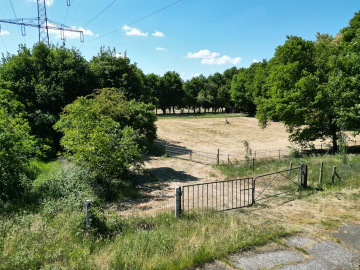 Foto 13 van Berghemseweg