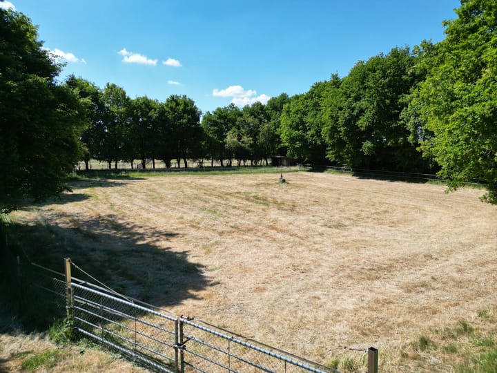 Foto 14 van Berghemseweg