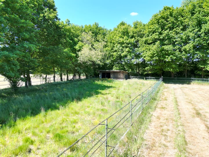 Foto 16 van Berghemseweg