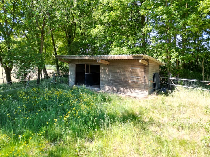 Foto 17 van Berghemseweg