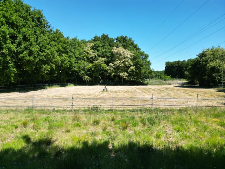 Foto 18 van Berghemseweg