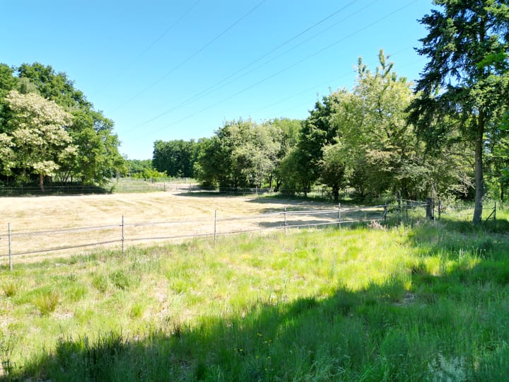 Foto 19 van Berghemseweg