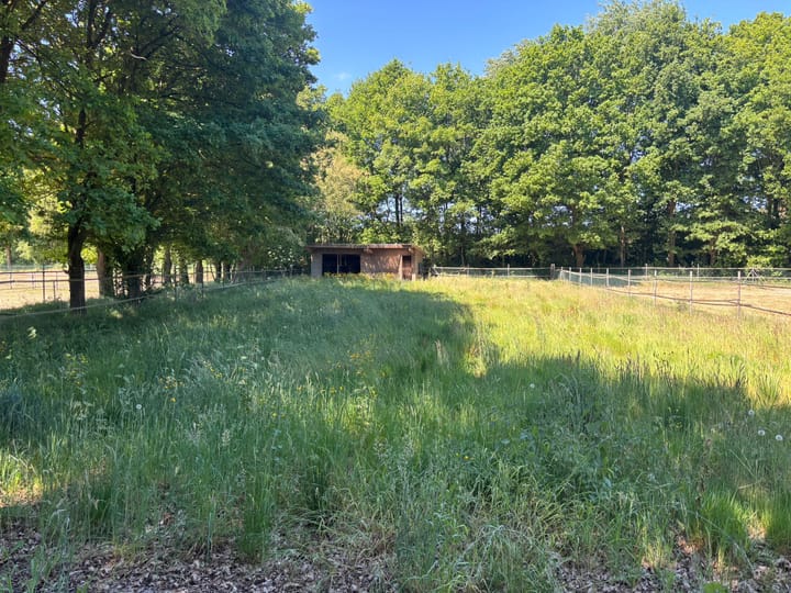 Foto 20 van Berghemseweg