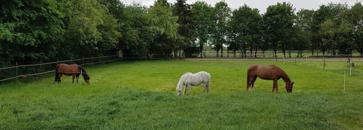 Foto 22 van Berghemseweg