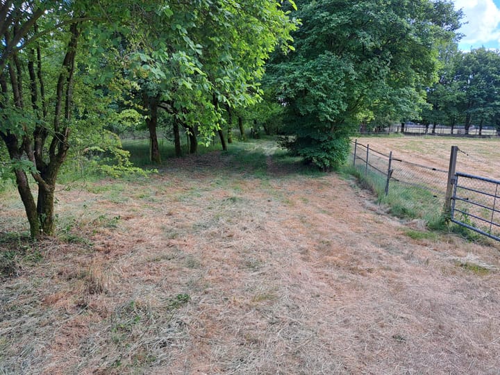 Foto 26 van Berghemseweg