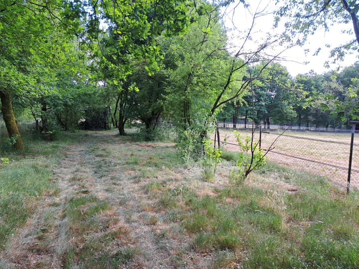 Foto 27 van Berghemseweg