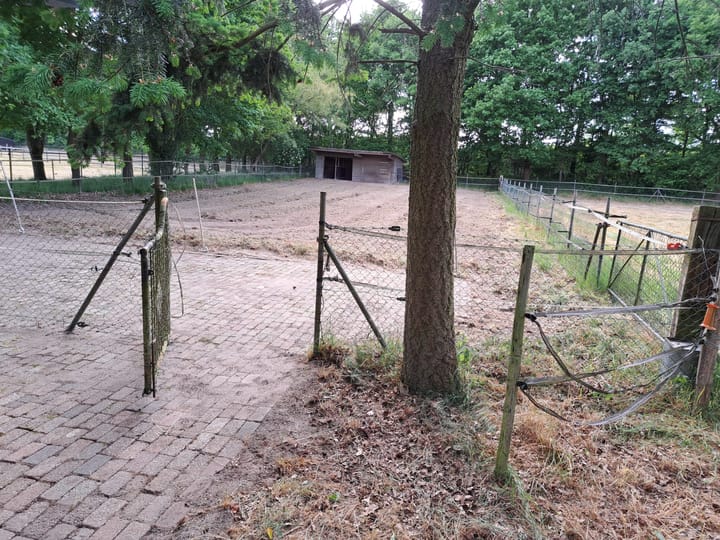 Foto 29 van Berghemseweg