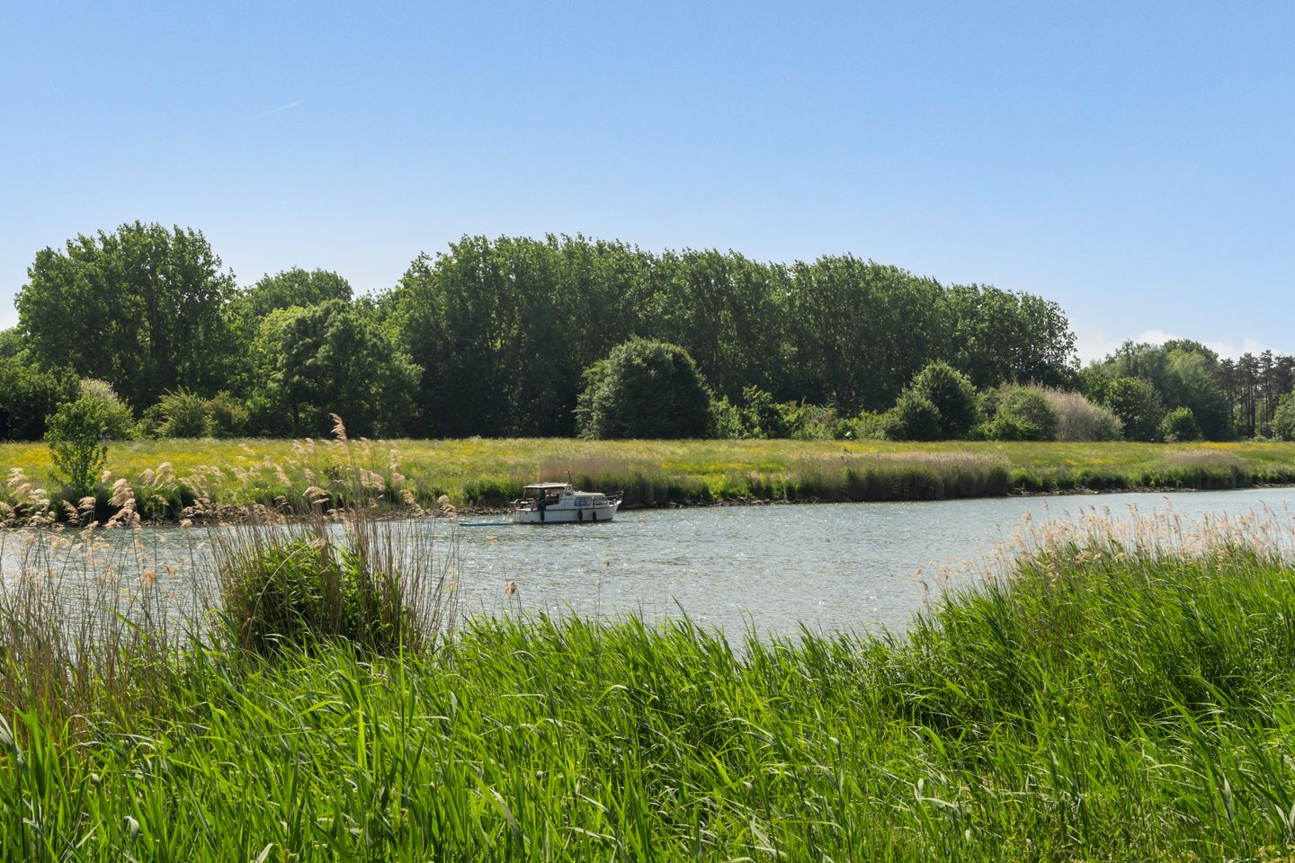 Foto 55 van Beekmanstraat 187