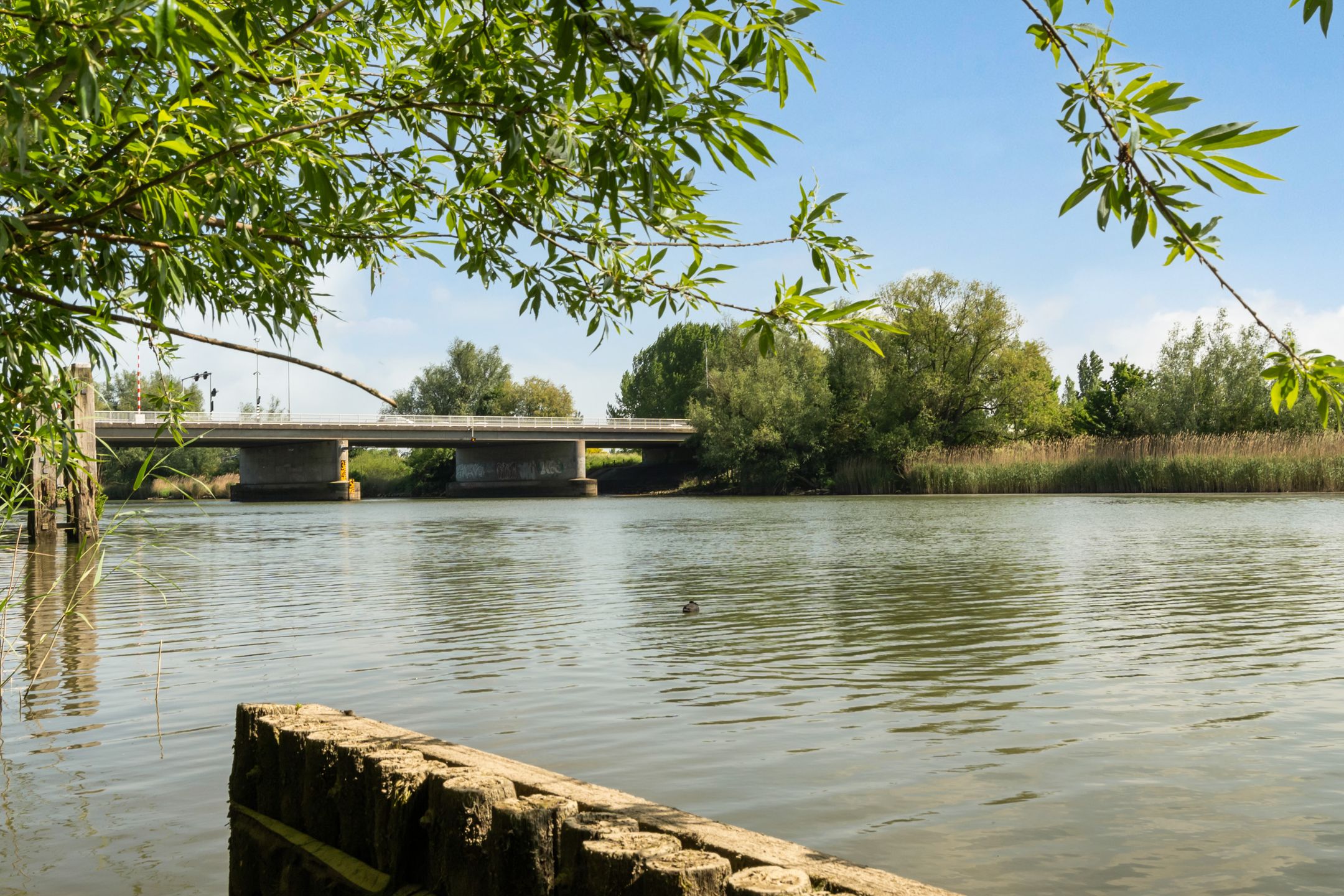 Foto 57 van Beekmanstraat 187