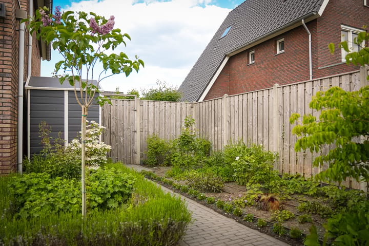 Foto 40 van Watersnip 11