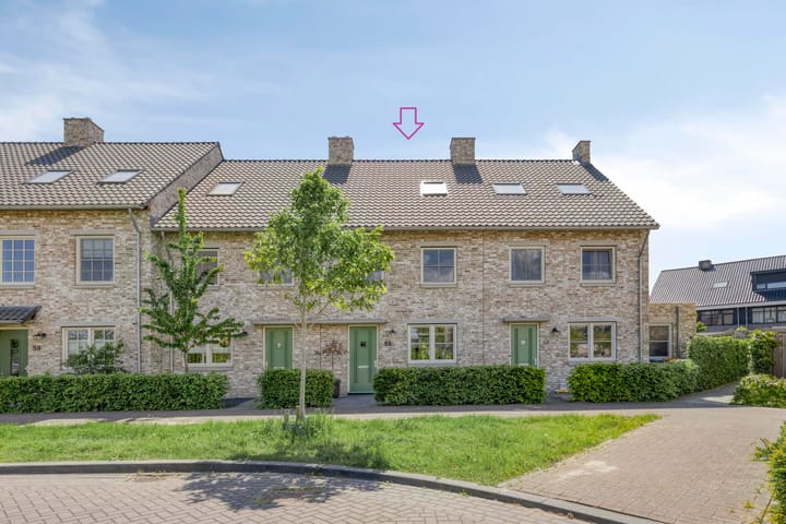 Foto 1 van Graan voor Visch 55