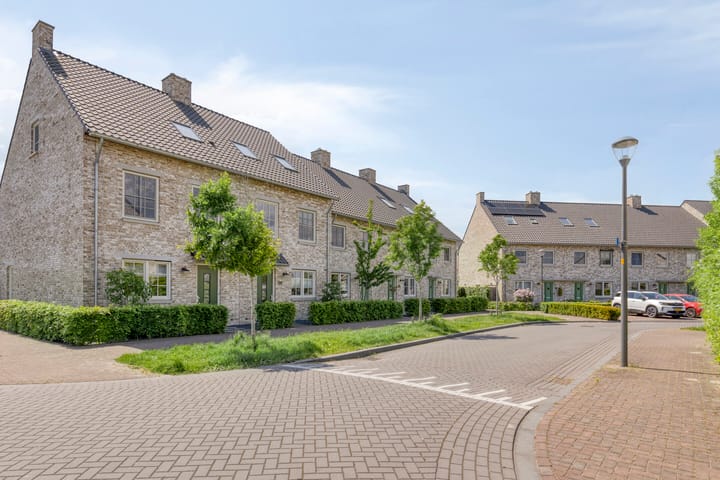 Foto 9 van Graan voor Visch 55