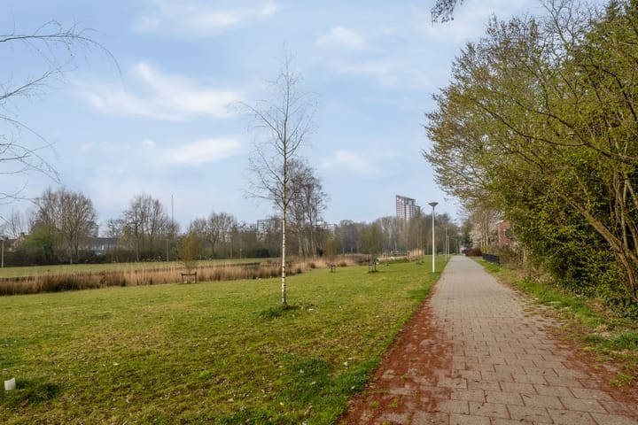 Foto 25 van Frambozentuin 1