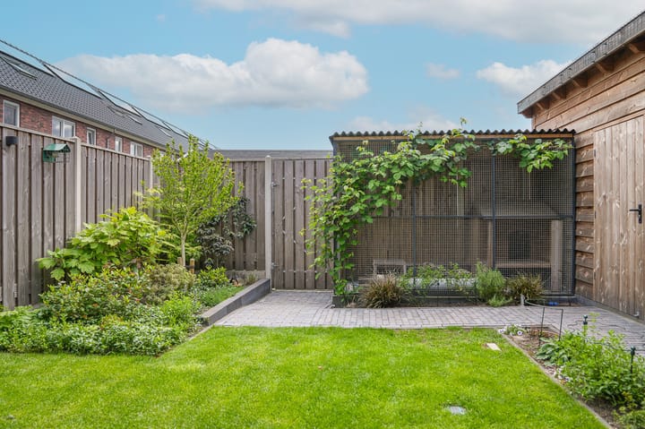 Photo 38 of Kievit 74