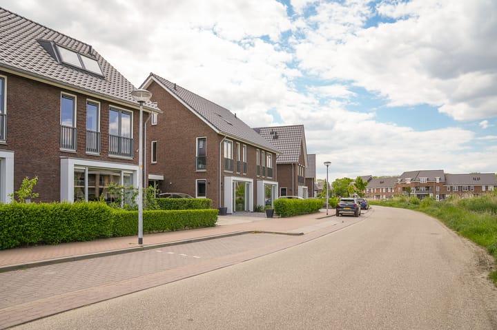 Photo 41 of Kievit 74