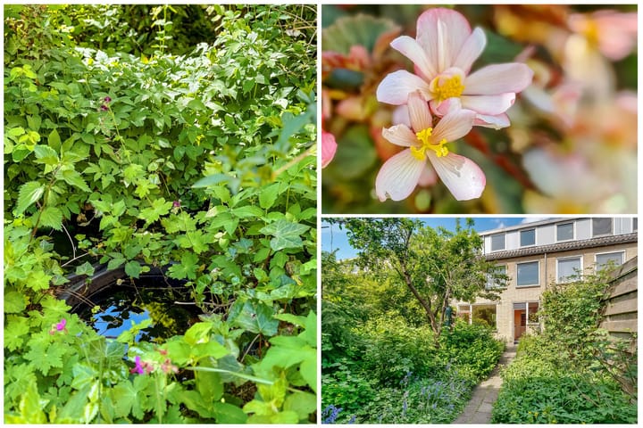 Foto 42 van Putterlaan 34