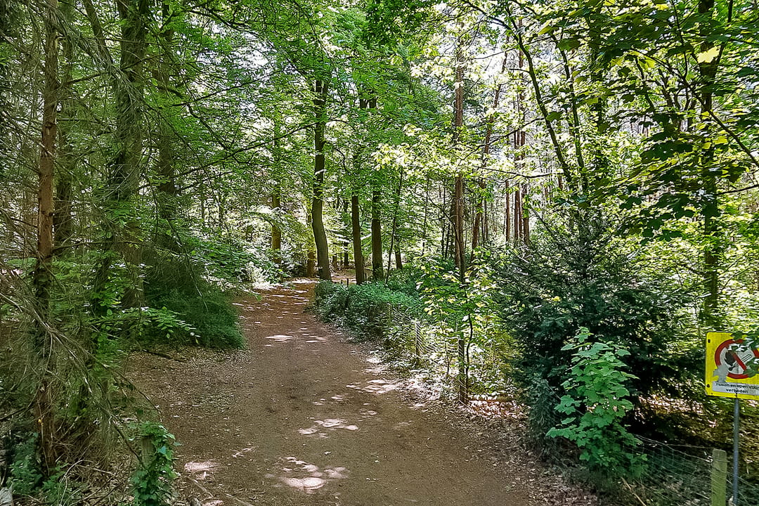 Photo 43 of Putterlaan 34