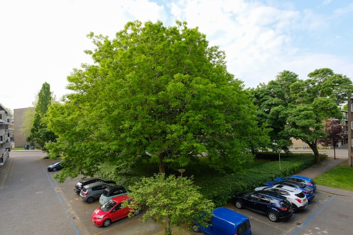 Foto 10 van Julianaplantsoen 95