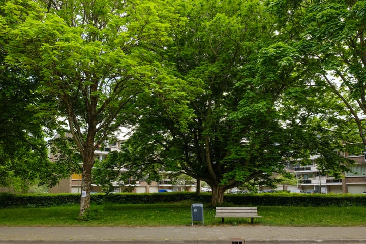 Foto 24 van Julianaplantsoen 95