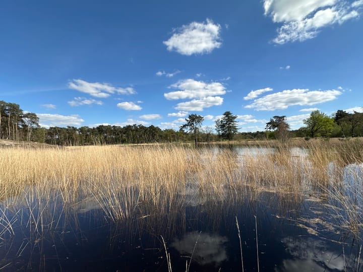 Foto 38 van Eindhovenseweg 183